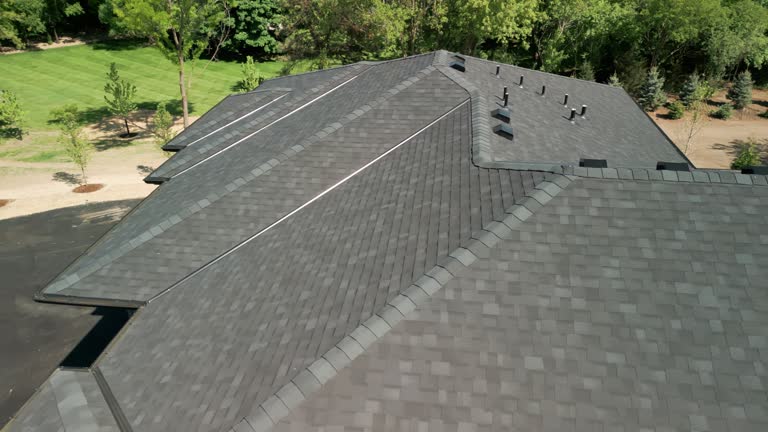 Best Solar Panel Roofing Installation  in USA